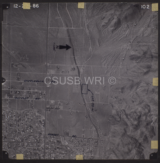 29 Palms 102
