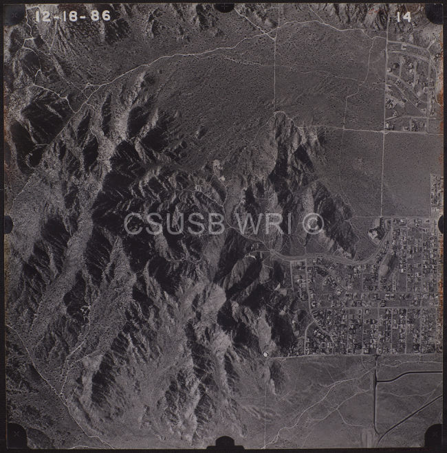 29 Palms 14