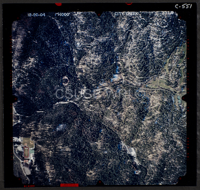 Blue Jay Area 8