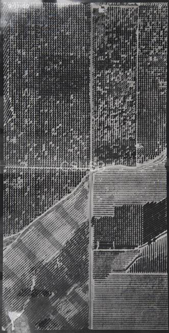 Riverside County 9