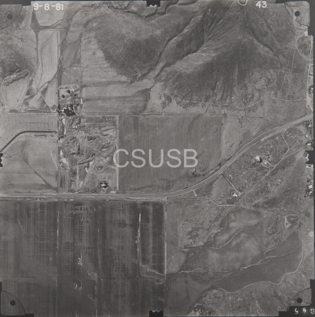 Riverside County 43