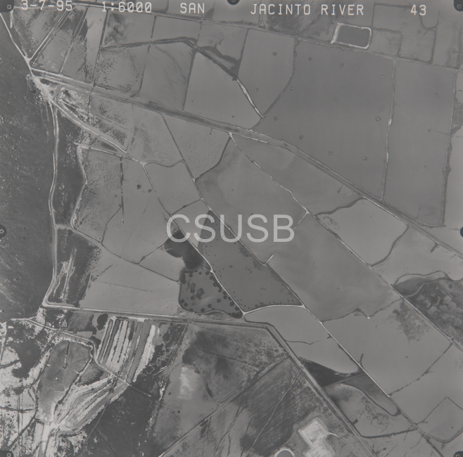 Riverside County 43
