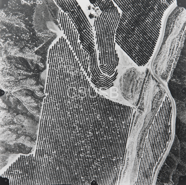Riverside County 10
