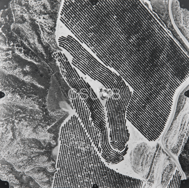 Riverside County 11
