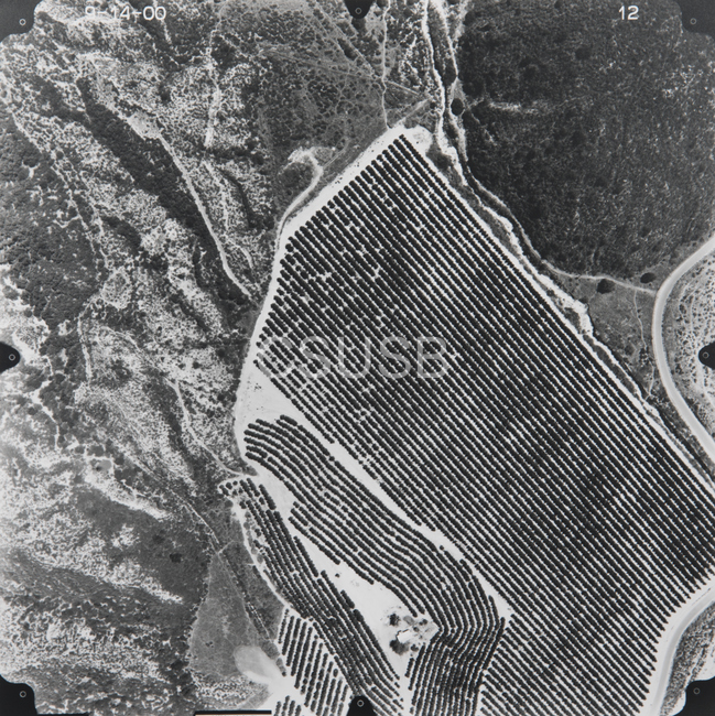 Riverside County 12