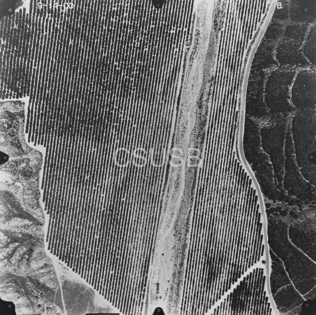 Riverside County 8