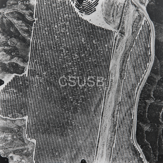 Riverside County 9