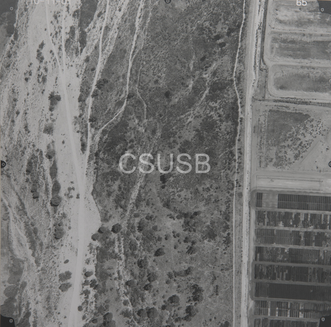 Riverside County 65