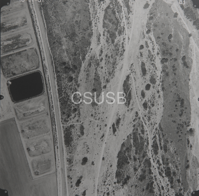 Riverside County 81