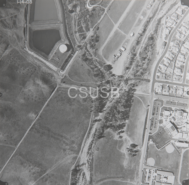 Riverside County 11