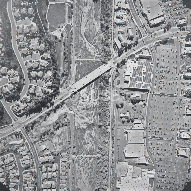 Riverside County 19