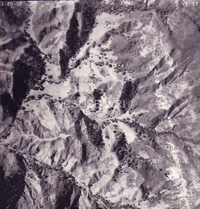 Ventura 11