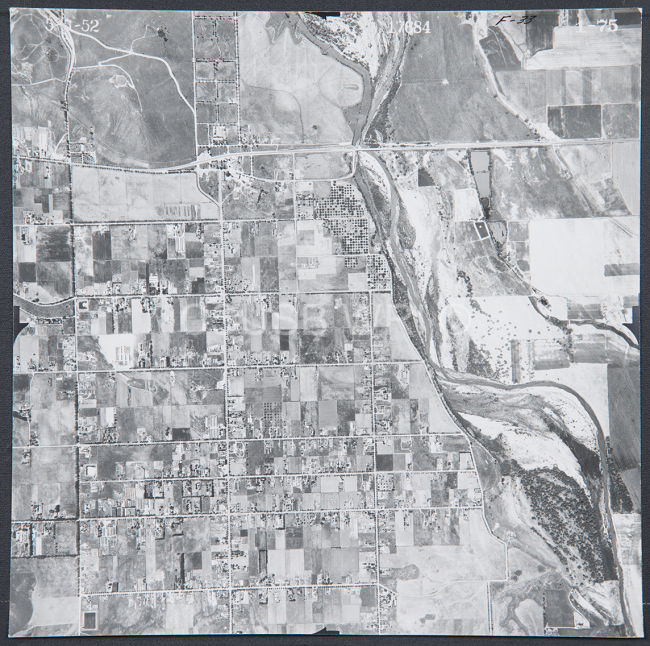 Chino 45